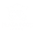 logo demo png